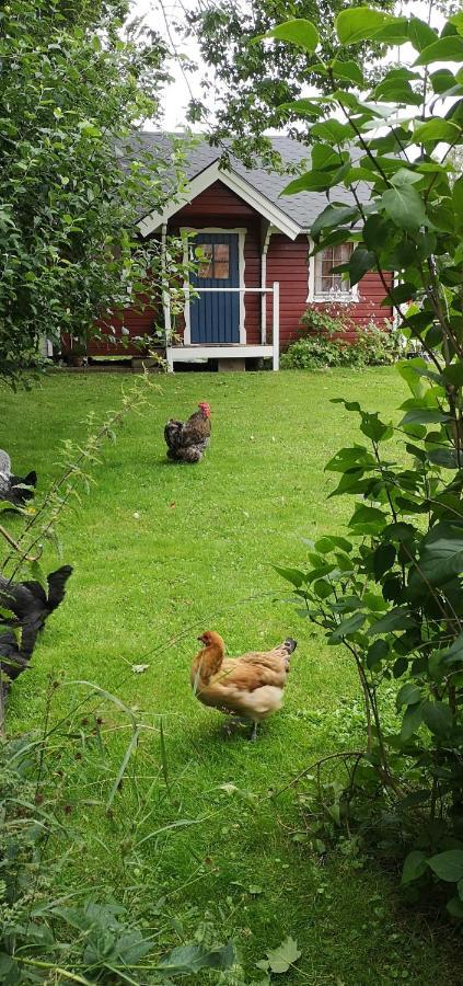 Lill Hagahus, Soederasens Nationalpark Villa Kågeröd Exterior foto